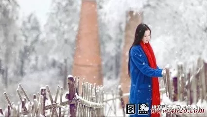 [桃源馨声]冬日寻梦|作者:阳光|主播:青苗[总858期]（图4）