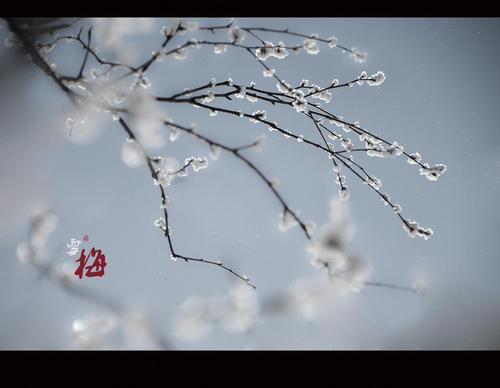 u_3632997027_1106042624&fm_26&gp_0.