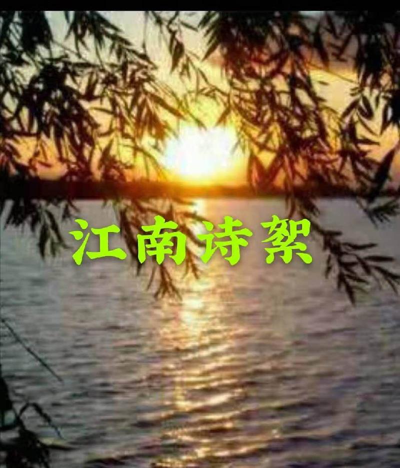 mmexport1610772355829.