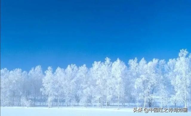 七律•寒序进行曲十八韵全集 (九九消寒诗) 诗/周慎(长沙)图网络 制作 冰心*幽蓝【冰心文化传媒】(图9)