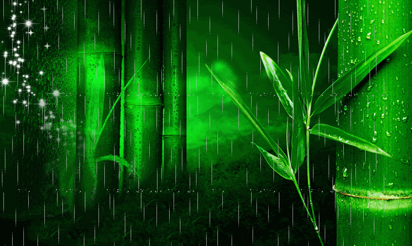雨中竹林 动态图图片