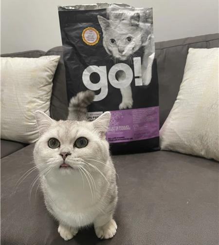 44.jpg