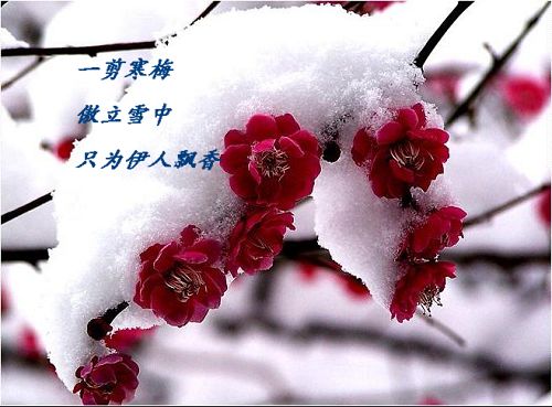 122.img.pp.sohu.