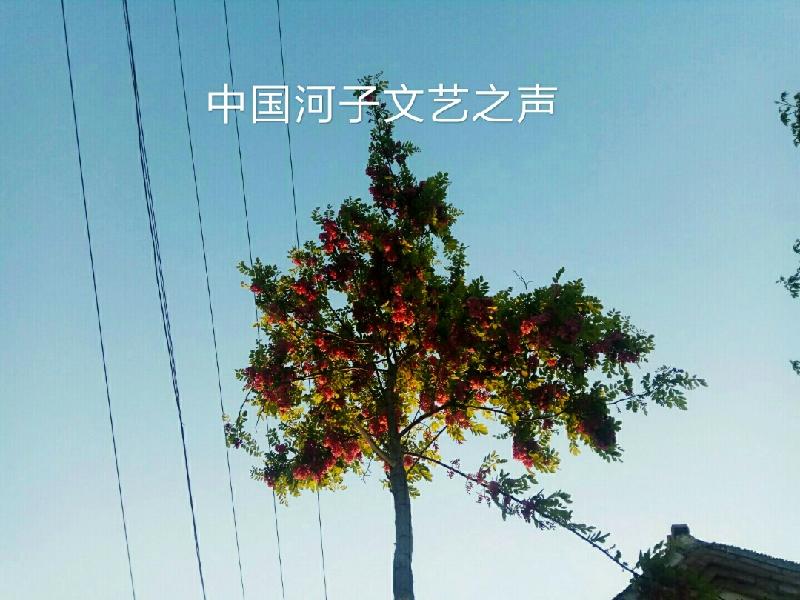 mmexport1601531373449.