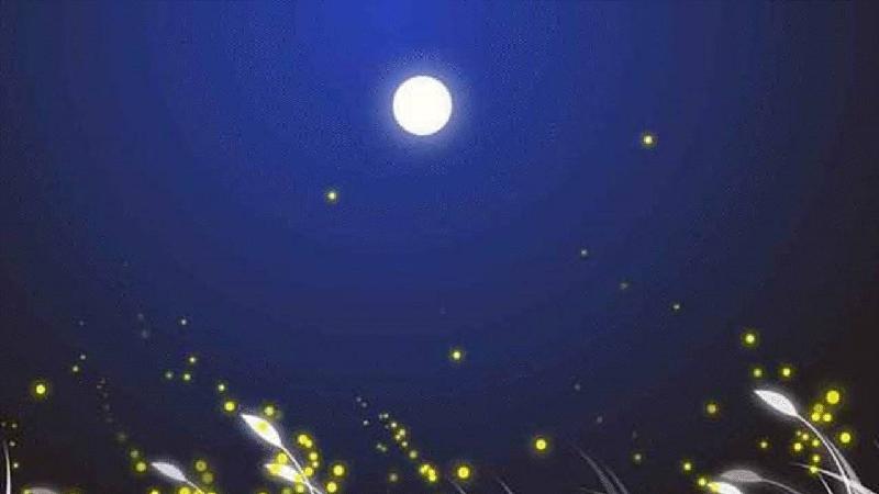 七律·望星空有感-京津沪头条 文/魏连栋