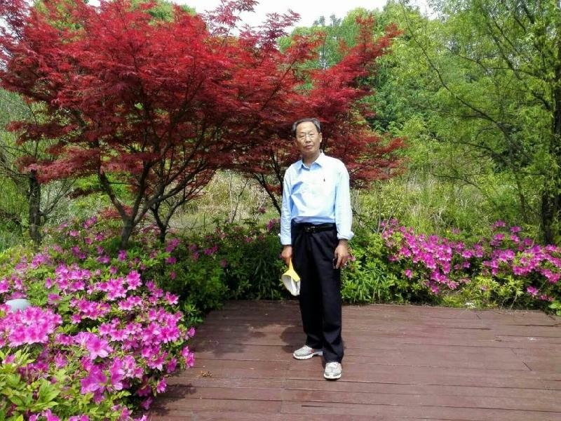 鹧鸪天 . 庚子小年 文/李道成（武汉）制作 冰心*幽蓝【冰心文化传媒】（图3）