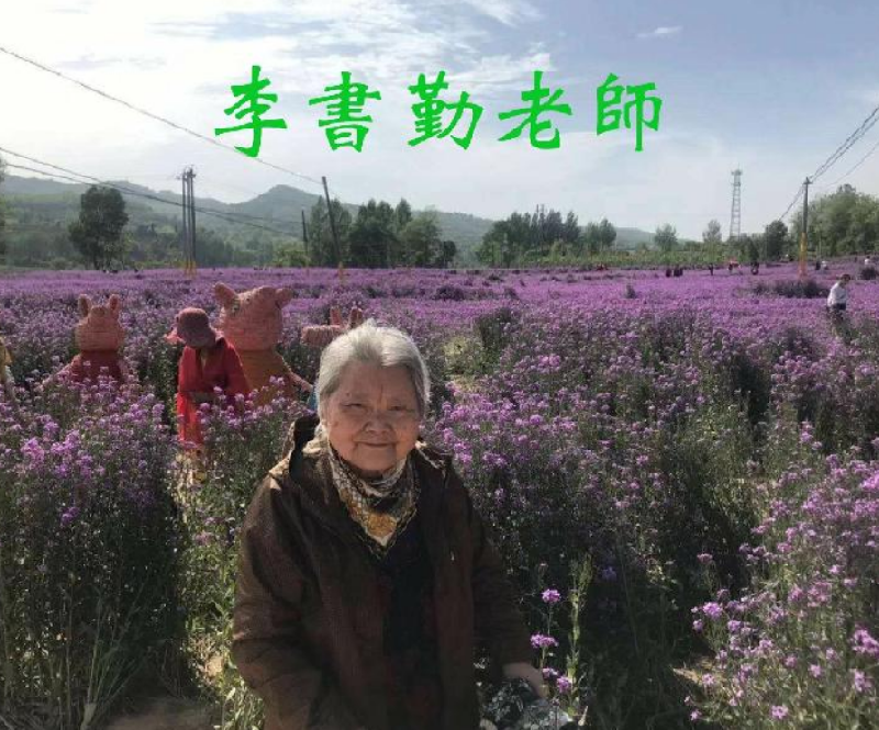 联机全球发布诗人李书勤精品诗歌（图2）