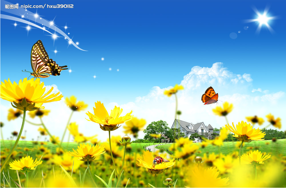 C:\Users\Administrator\Desktop\902609_182710084_2.jpg