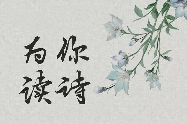 [桃源馨声]终于|作者:石沉|主播:涛声依旧[总884期]（图12）
