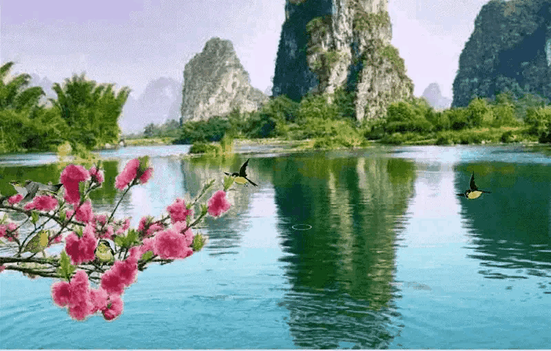 wKgCFF6p9BaAFZEEADCDWKKzICQ384.jpg.gif
