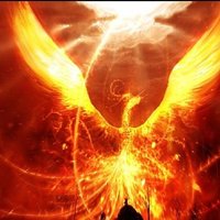 u_4117201606_1745516900&fm_58.