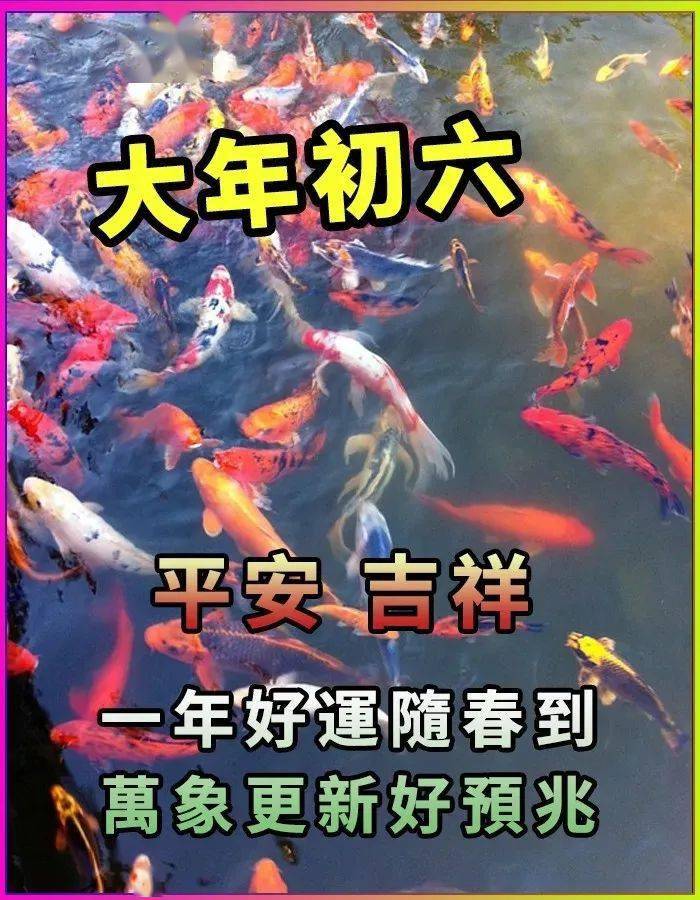 www.guangyuanol.