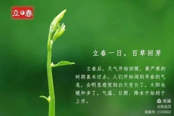 柳叶弯弯〔中国〕七绝七首 制作 冰心*幽蓝【冰心文化传媒】（图6）