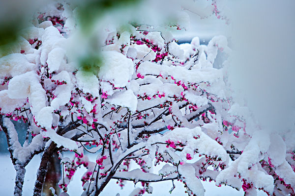 pic.qjimage.