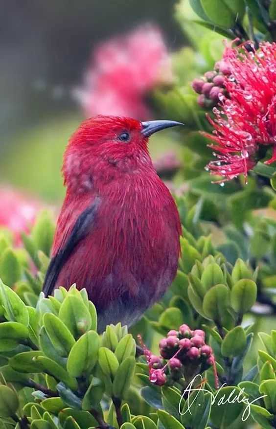 mmexport941804fd83bd754e17e35985b2998425.