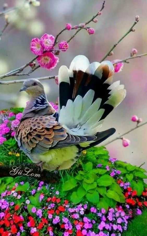 mmexport4202c6cc1098c6b66df05beadabb5d96.