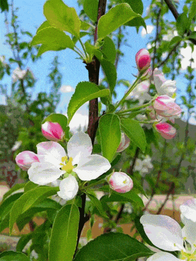 5b0988e595225.cdn.sohucs-347.