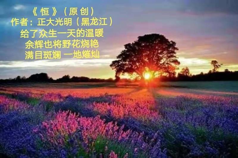 正大光明诗歌专刊【 题图微诗三首 】京津沪头条 作者 / 正大光明（哈尔滨）