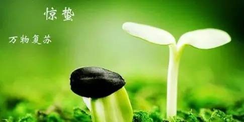 【潇湘文学社】潇湘紫竹诗社《惊蛰、雨水》（图2）