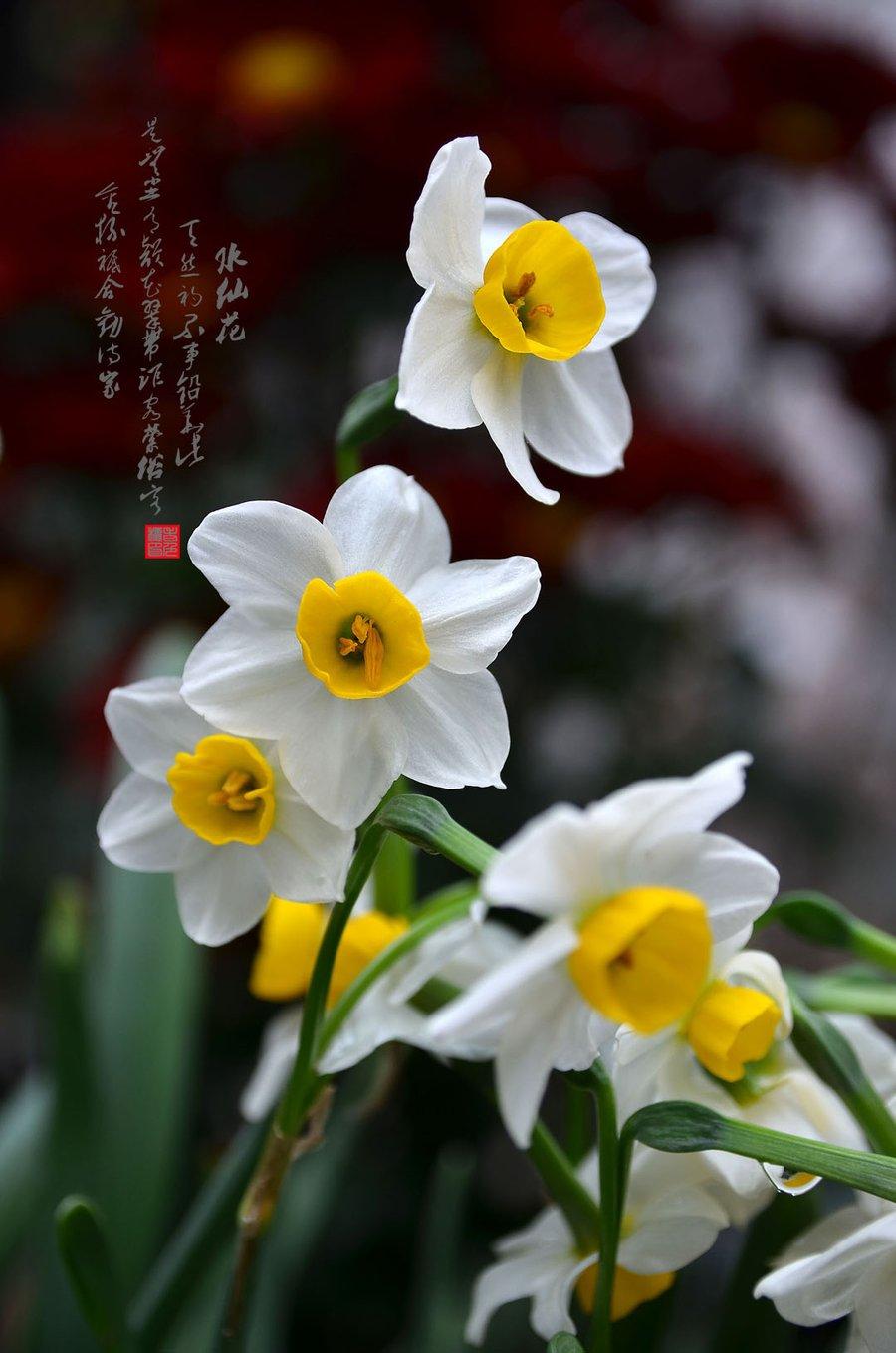 1615645716002086074.jpg src=http_%2F%2Fimg.pconline.com.cn%2Fimages%2Fupload%2Fupc%2Ftx%2Fphotoblog%2F1603%2F29%2Fc9%2F19741854_1459234452366_mthumb.jpg&refer=http_%2F%2Fimg.pconline.com.jpg