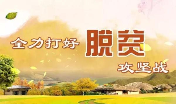 【潇湘文学社】潇湘陶菊诗社《扶贫专刊》(图13)