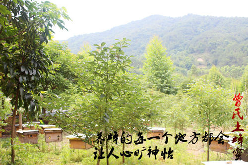 u_3936585378_270138763&fm_26&gp_0.