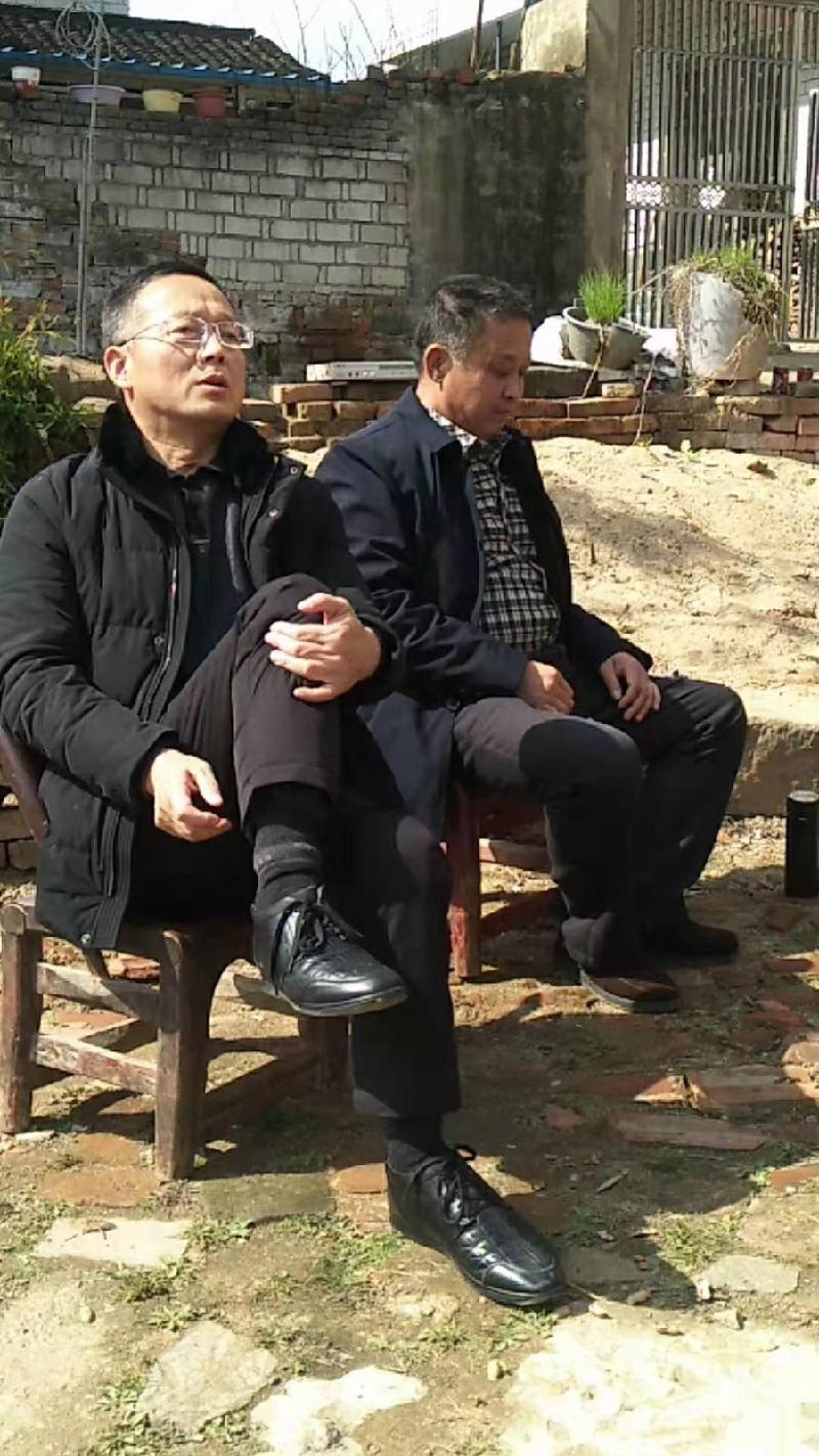 麻城诗词学会专刊‖春访诗友严春凤-京津沪头条（图3）