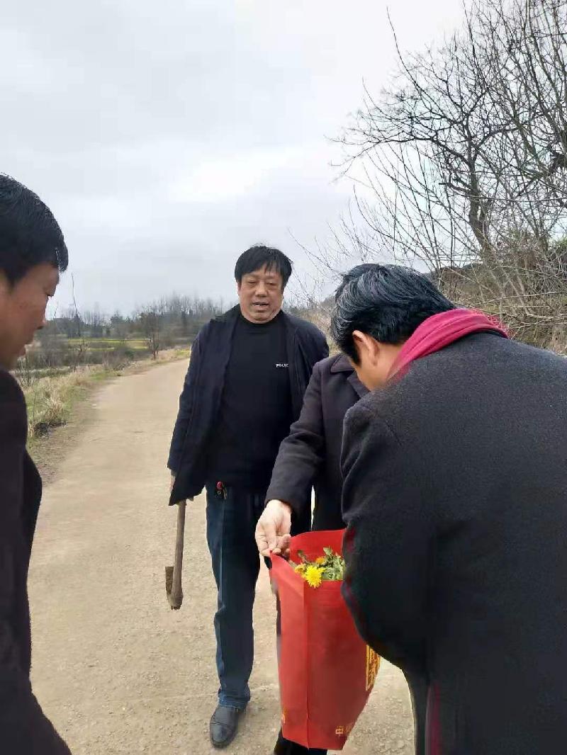 麻城诗词学会专刊‖春访诗友严春凤-京津沪头条（图7）