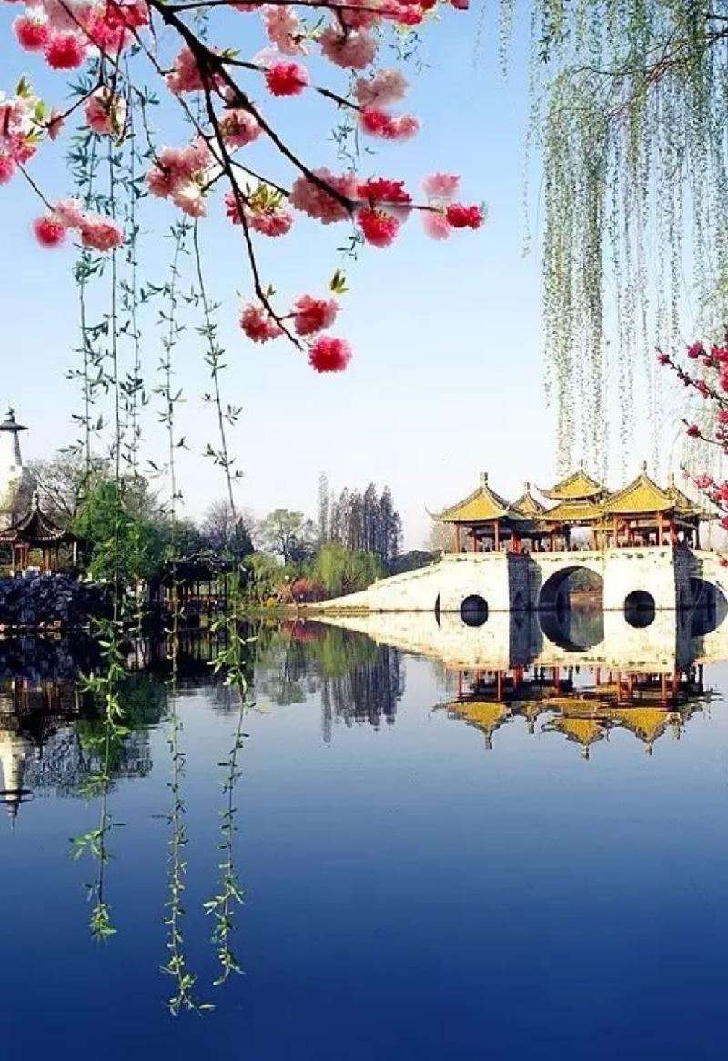 Screenshot_20210317_100912_com.baidu.searchbox_edit_330879958697948.
