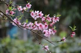 3A4BC0A7-4F26-4D23-B687-1F31F60817F9.