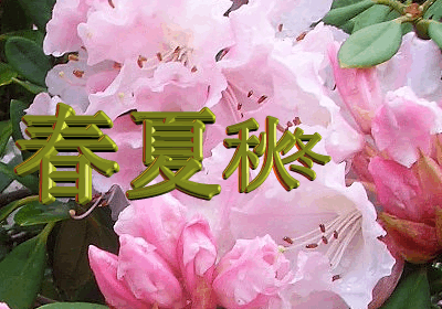 122.img.pp.sohu-1.