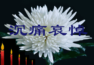 大姐走了 文‖张传浩(江苏)