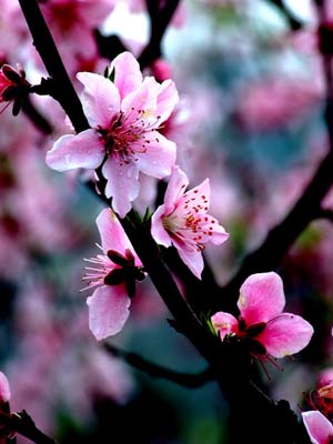 photocdn.sohu-1616249947665.