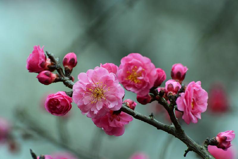 img.pconline.com-1616315318128.
