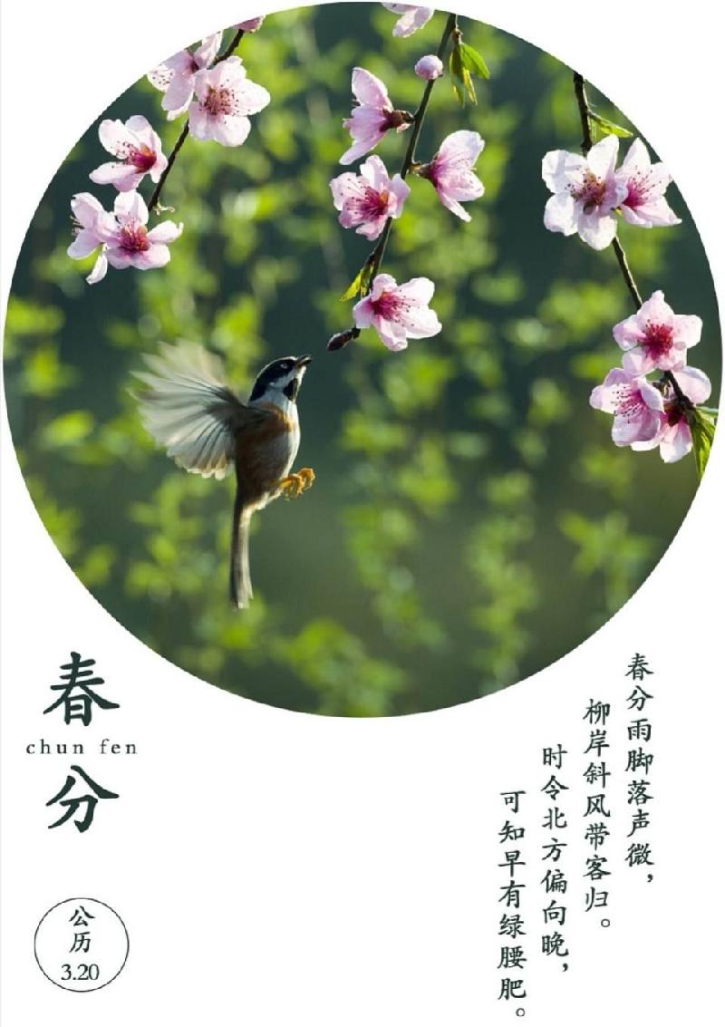 static2.ivwen.