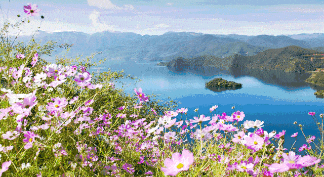 img.saihuitong.