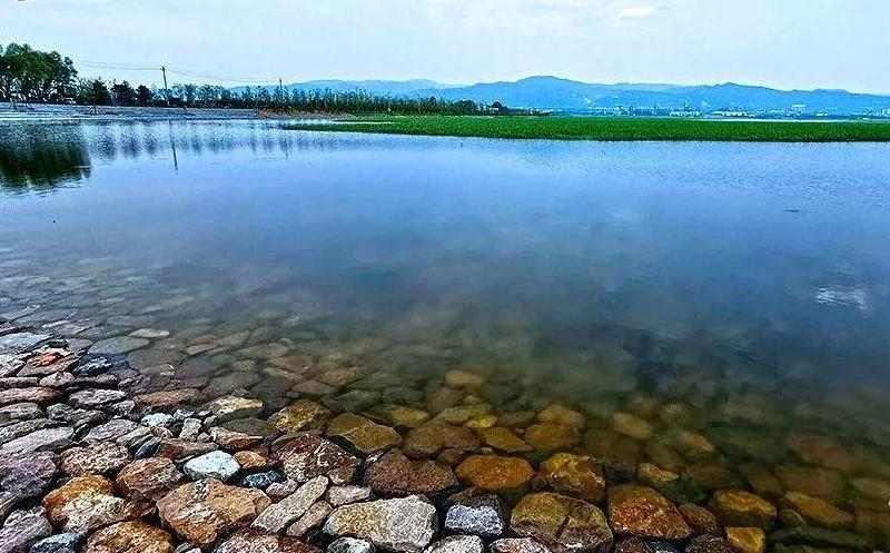金萍诗歌欣赏‖微组·在水一方-京津沪头条 文/金萍（图2）