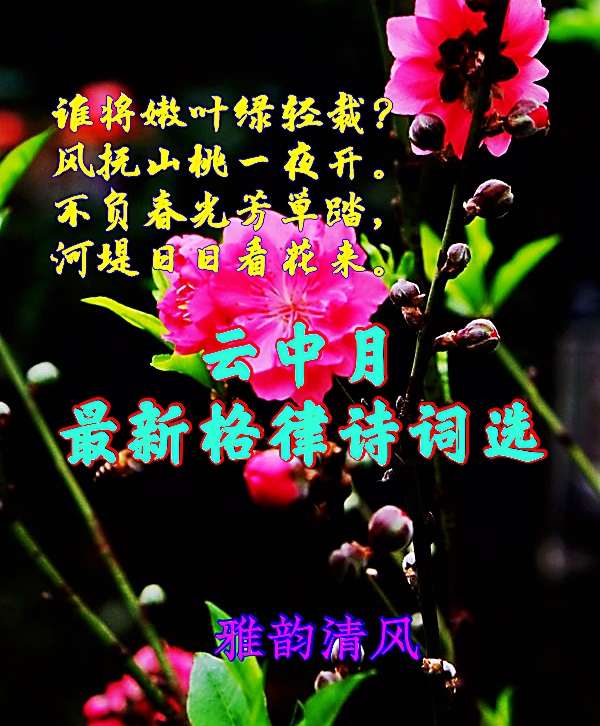 img.pconline.com-1616794917791_mh1616795497035.