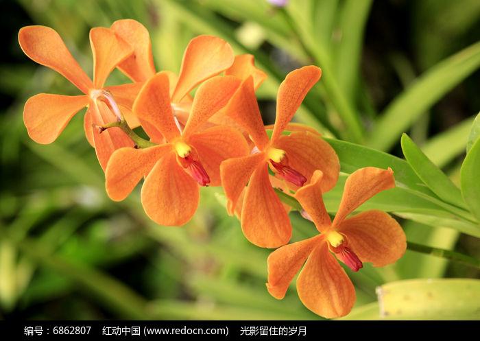 src=http_%2F%2Fimg.redocn.com%2Fsheying%2F20160805%2Fmoshilan_6862807.jpg&refer=http_%2F%2Fimg.redocn.jpg