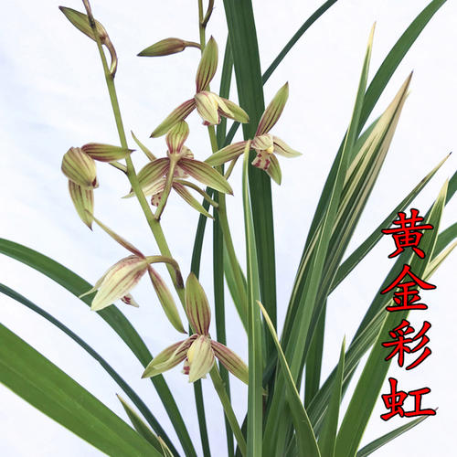 u=2831989330,2164374670&fm=26&gp=0.jpg