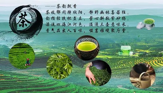 【潇湘文学社】潇湘陶菊诗社《人生八雅》(图24)