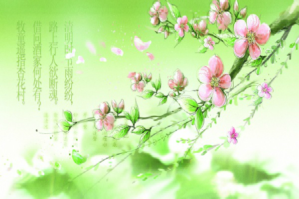 img.51test-1617098871278.