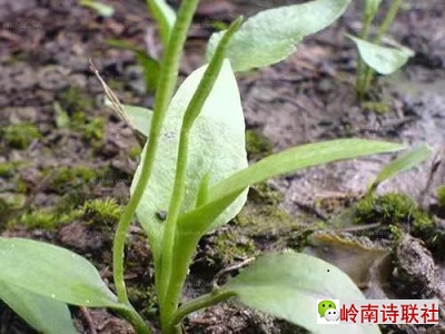 寰俊鍥剧墖_20210401085736.jpg