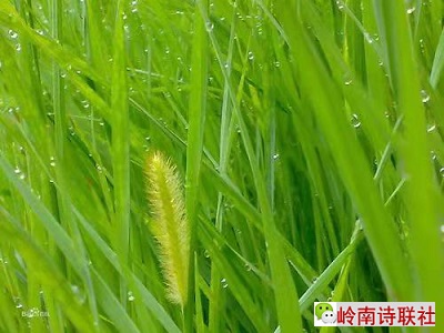 寰俊鍥剧墖_20210401085737.jpg