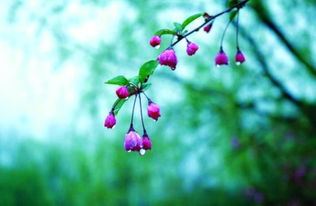 a5765c8bcdf92310919e7d58dcee032b3fdde1eb86edbedcd4b1a92b22feffea.0.