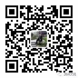 EC2FC047-DD49-4908-91AE-79BDEEB4F659.