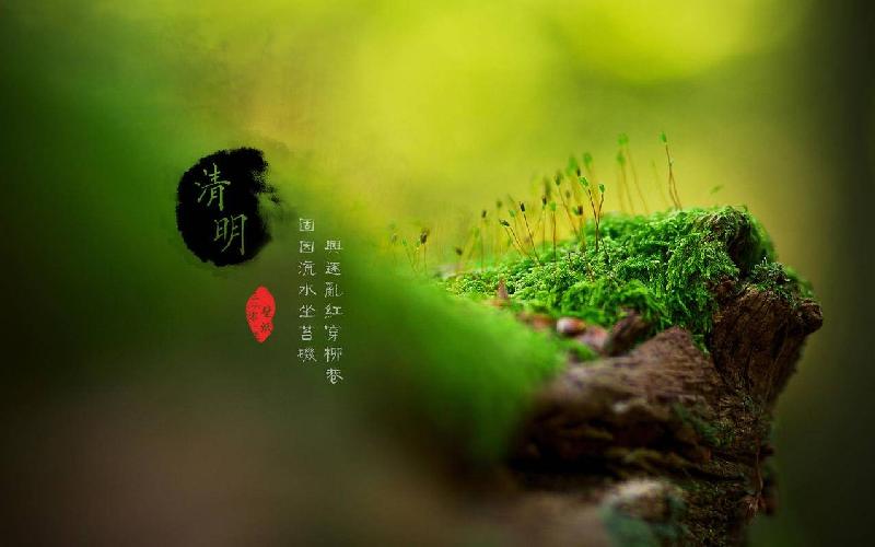 七律.清明将至思亲人(四首)(去声八霁) 文/行者悠然(王树奎)【冰心文化传媒】(图3)
