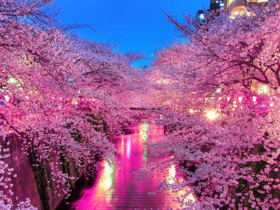 src=http_%2F%2Fgss0.baidu.com%2F-4o3dSag_xI4khGko9WTAnF6hhy%2Fzhidao%2Fpic%2Fitem%2F342ac65c103853430ff8ded69113b07eca808816.jpg&refer=http_%2F%2Fgss0.baidu.jpg