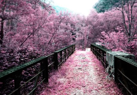 src=http_%2F%2Fimage.huahuibk.com%2Fuploads%2F20191206%2Fe47b9aa97aacdd489a4fdcaffbc02d3c.jpg&refer=http_%2F%2Fimage.huahuibk.jpg