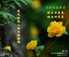 mmexportb142a252141ff1340a21bf4b92372531_1617448211137.